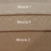 MIRACLE - Image 8